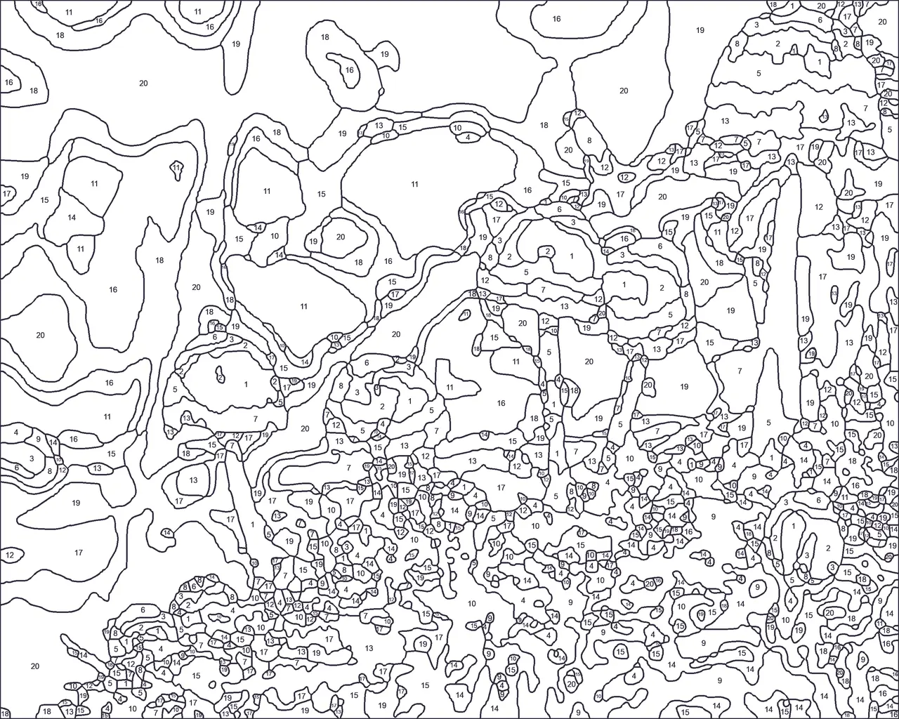 the numbered outline page from the woodland mushrooms colour by number kit