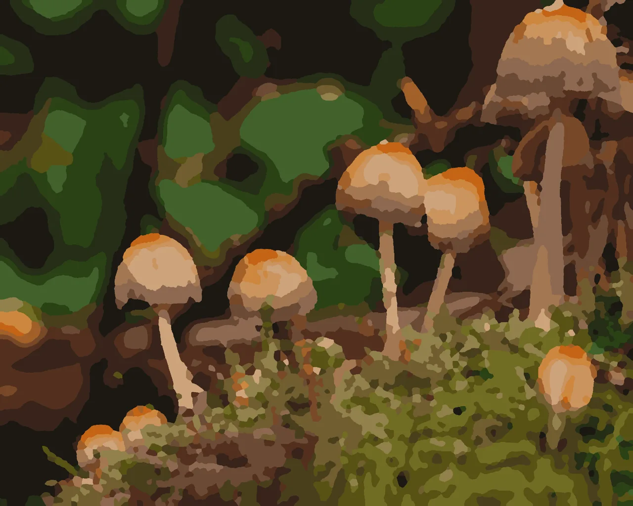 a cluster of woodland mushrooms on a bank of moss with the forest soft and green behind, painted from the hello paint colour by number kit