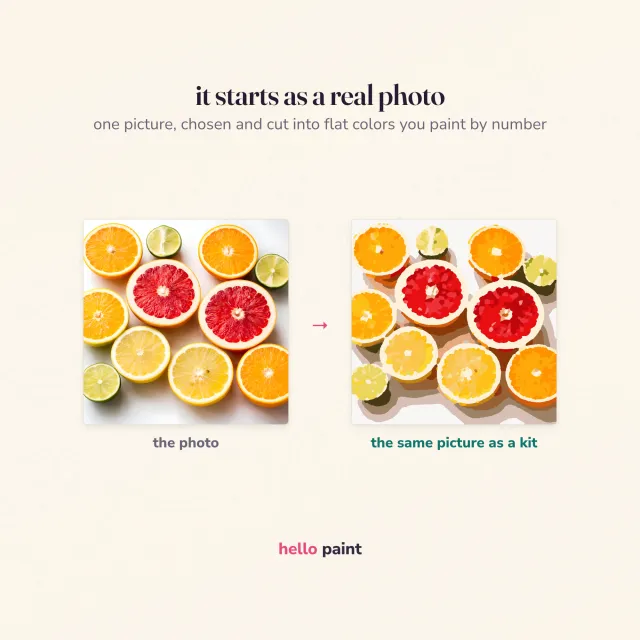 the real photograph behind the citrus halves kit beside the finished flat color version, showing how one photo becomes a printable paint by number