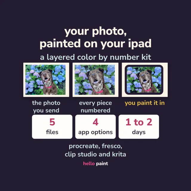 custom color by number kit for ipad made from your own photo, a procreate template delivered as a digital download, shown here as a pet portrait