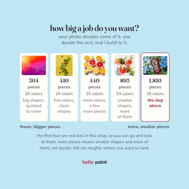 how big a job your custom kit will be, shown by color count and piece count, so you know what you are starting before you buy