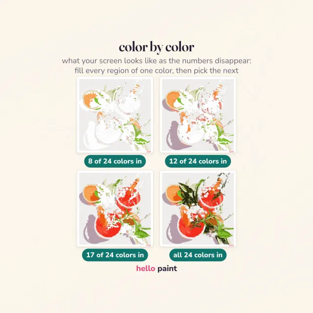 the grapefruit cocktail procreate template filled one color at a time, from the first color drop through to the finished digital painting