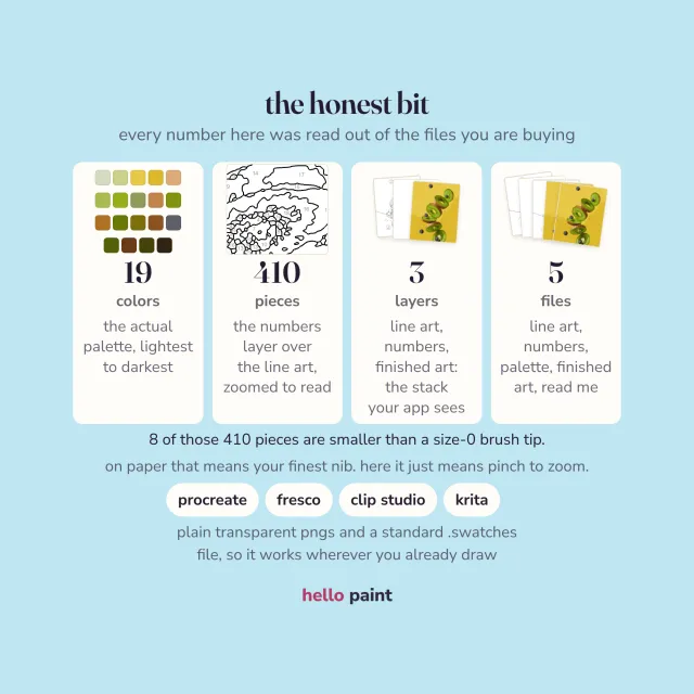 the honest numbers for the kiwi slices procreate kit before you buy: 19 colors, 410 pieces, and a 2400 x 3000 canvas that paints 8 x 10 inches at 300 dpi